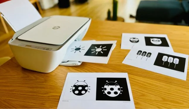 printing-baby-flashcards-in-black-and-white-high-contrast